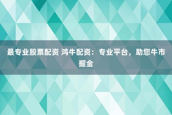 最专业股票配资 鸿牛配资：专业平台，助您牛市掘金