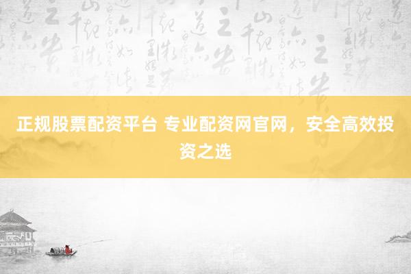 正规股票配资平台 专业配资网官网，安全高效投资之选