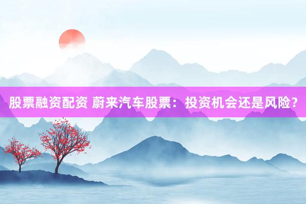 股票融资配资 蔚来汽车股票：投资机会还是风险？
