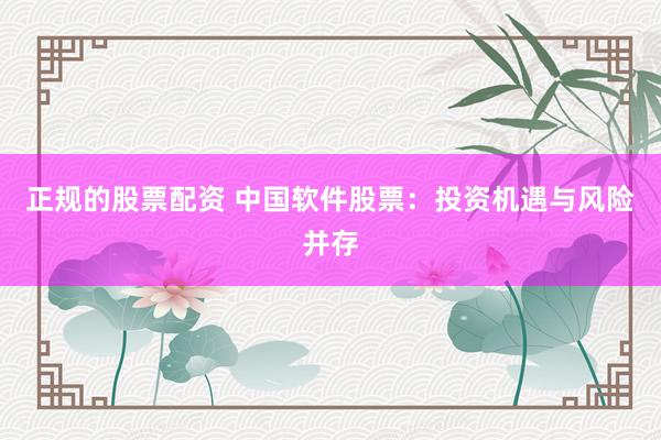 正规的股票配资 中国软件股票：投资机遇与风险并存