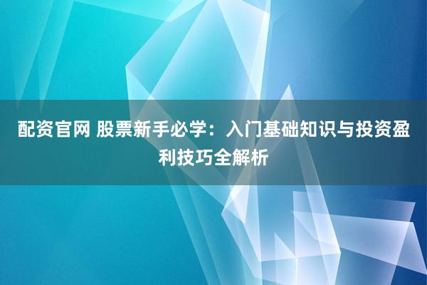 配资官网 股票新手必学：入门基础知识与投资盈利技巧全解析