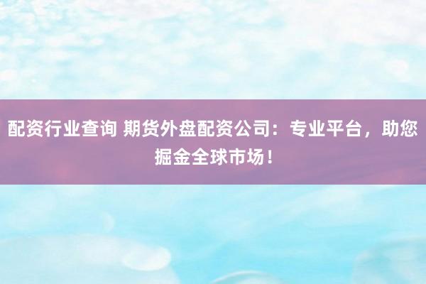 配资行业查询 期货外盘配资公司：专业平台，助您掘金全球市场！