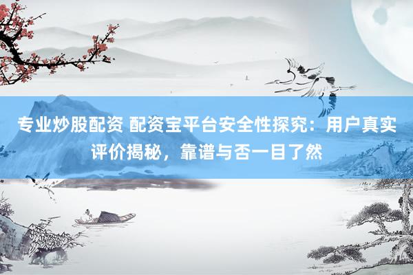 专业炒股配资 配资宝平台安全性探究：用户真实评价揭秘，靠谱与否一目了然