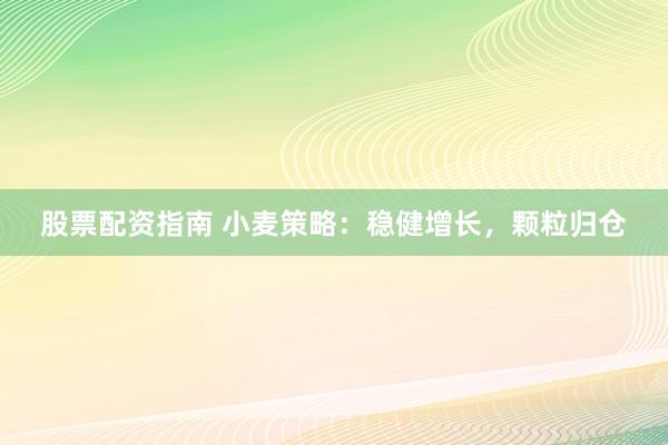 股票配资指南 小麦策略：稳健增长，颗粒归仓