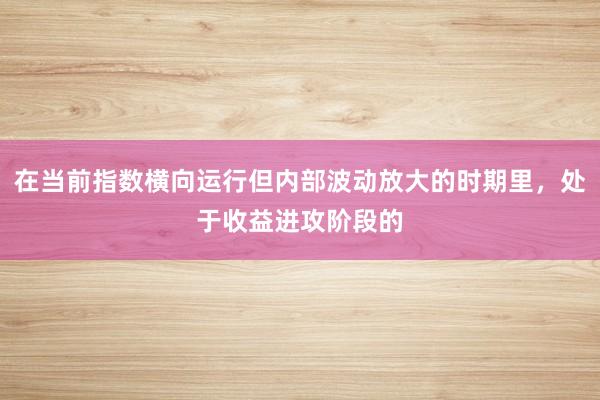 在当前指数横向运行但内部波动放大的时期里，处于收益进攻阶段的