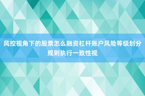 风控视角下的股票怎么融资杠杆账户风险等级划分规则执行一致性视