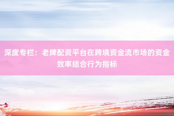 深度专栏：老牌配资平台在跨境资金流市场的资金效率结合行为指标
